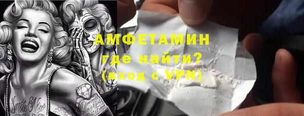 мдпв Вяземский