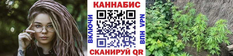 ссылка на мегу ССЫЛКА  Покачи  Каннабис марихуана 
